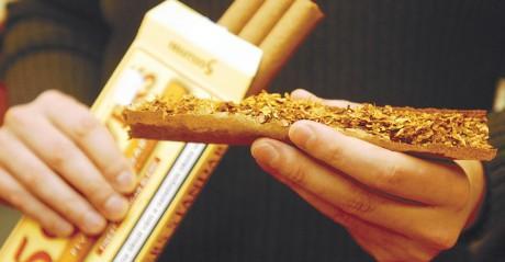 Each stick contains enough tobacco to make approximately 12 cigarettes.