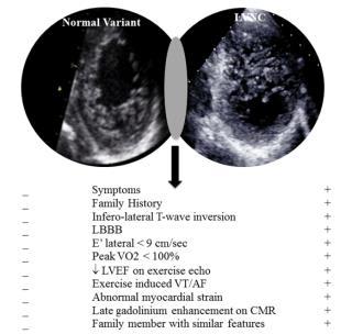 LV Non-Compaction Left ventricular noncompaction (LVNC) is a