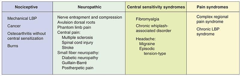 Four types of chronic pain