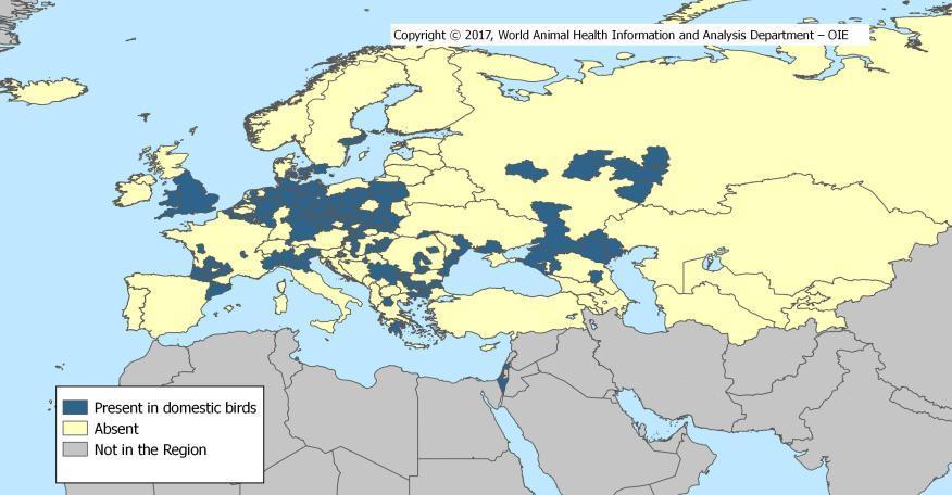 Reported distribution of HPAI in domestic birds in 2016 and 2017 (data based on reports received up to 15 September 2017) 26 countries Finland: 1st occurrence in the country cases in domestic birds