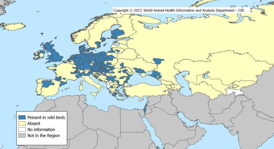 Reported distribution of HPAI in wild birds in 2016 and 2017 (data based on reports received up to 15 September 2017) 32 countries Lithuania: 1st occurrence in the country cases in wild birds
