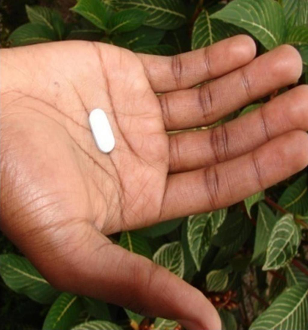 A Daily Pill to Prevent HIV: Oral Pre-exposure Prophylaxis (PrEP) Delivette Castor, PhD USAID