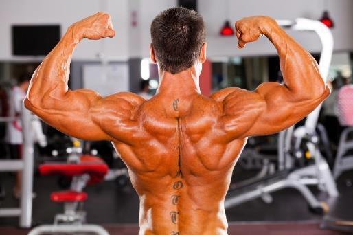 6 WEEK MASS GAINER EXPLODE YOUR MUSCLES THE ROUTINE You will be performing this routine for 6 weeks. In this time you will focus your energy on the demand of the lift.