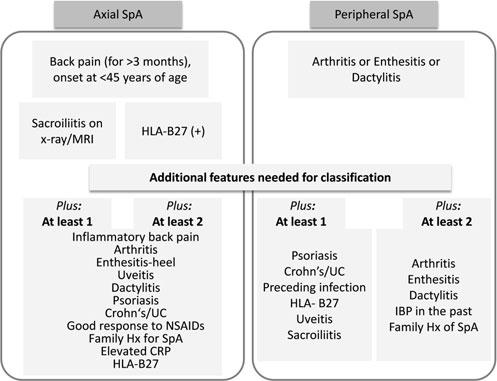 Strategies for the Early Recognition of Axial SpA Fig. 2 Assessment of SpondyloArthritis International Society (ASAS) classification criteria for axial and peripheral spondyloarthritis.
