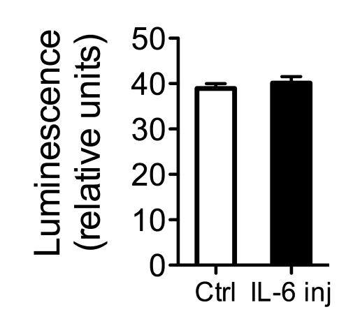 Supplementary Figure 5. IL-6 effects on DPP-4. a b Supplementary Figure 5. IL-6 effects on DPP-4. (a) Intestinal mrna expression in male mice injected with or without 400 ng IL-6 twice daily for 7 days (n = 6 8).