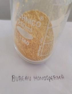 Fig-2: Extract powder form of Butea monosperma and Salvadora persica Phytochemical screening Phytochemical analysis of flowers of Butea monosperma and rhizome or stem of Salvadora persica extracts