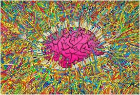 Effects of LSD on Brain Activity What did the fmri and MEG results show?
