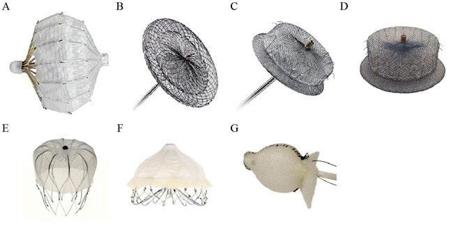 original article 289 Figure 1: Devices used for LAA Occlusion. (A) Plaato, 2001. (B) Amplatzer non-dedicated device, 2002. (C) Amplatzer Cardiac Plug (ACP), 2008. (D) Amplatzer Amulet, 2013.