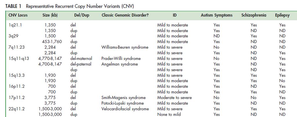 Large, rare CNVs are found across