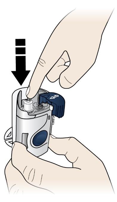 Load the cleaned cartridge into the automated mini-doser and firmly press on the top until it is secured in place.