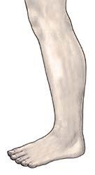 Leg 2nd inner line-1 (KID-3) between the medial malleolus and the Achilles tendon, level with the malleolus press toward the malleolus for a sprained