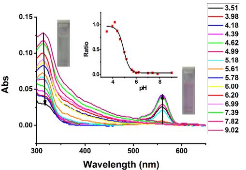 Figure S3 UV-Vis absorption of Rh-SA2 (5 μm) in B-R buffer