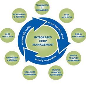 4 What can be done in the field Main influences of agricultural practice on ear fusarioses crop rotation and and soil soilcultivation // tillage -- > (EUREPGAP CCM *section 8.2.