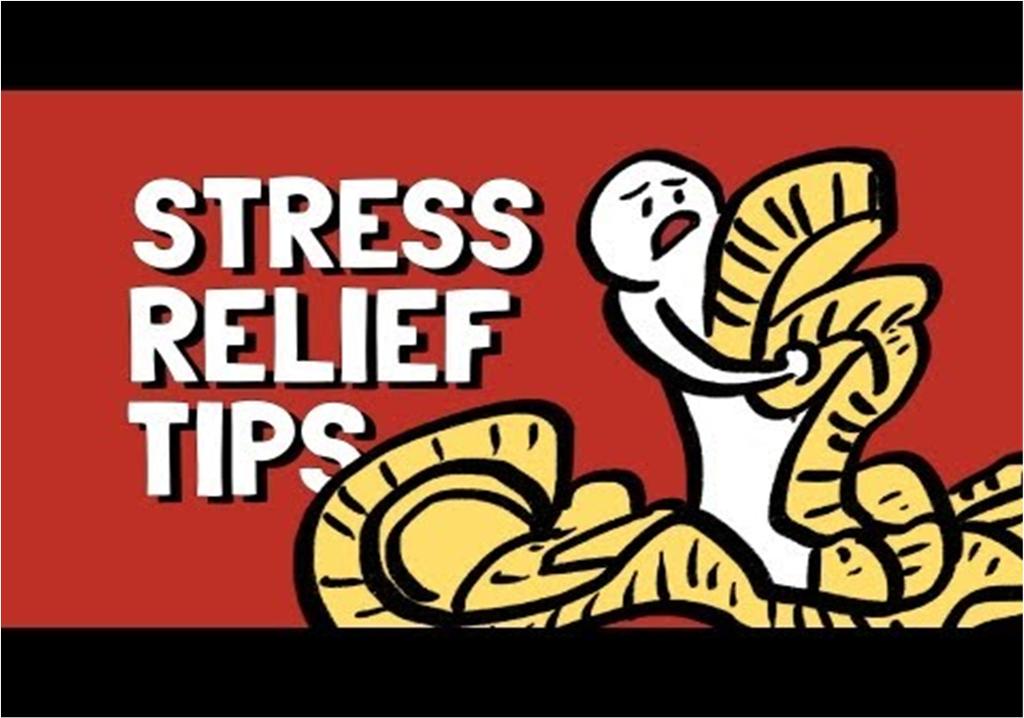 Stress Management Video