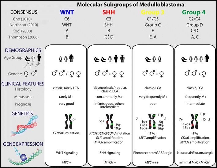 Molecular subgroups of medulloblastoma: the current consensus.