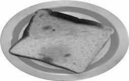 This piece of moist bread was kept in a dish for a few days. Is this slice of bread fit to be eaten now? What changes will you observe or look for? How do you think it got spoilt? IV.