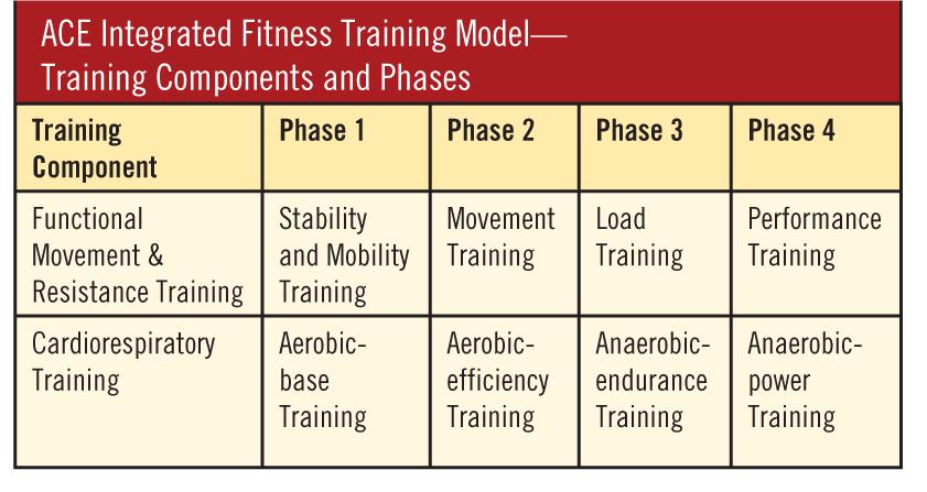 ACE IFT Model Training Components and Phases The training components are broken down into
