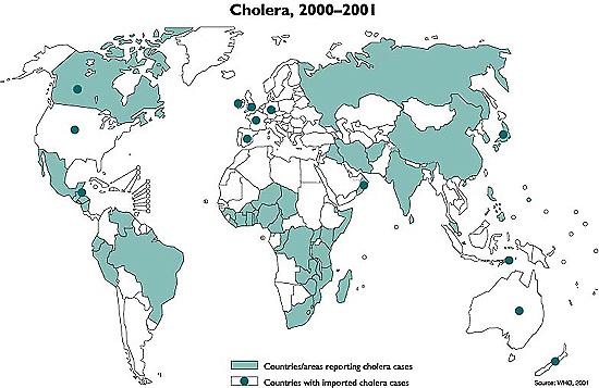 Global Cholera Situation Dr Teresa Choi 7 WHO Dr Teresa Choi 8