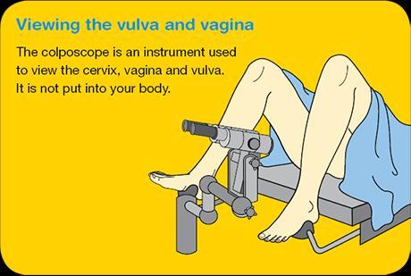 Examination For the study of the vulva, the gynecologists always homologated this organ to the cervix.