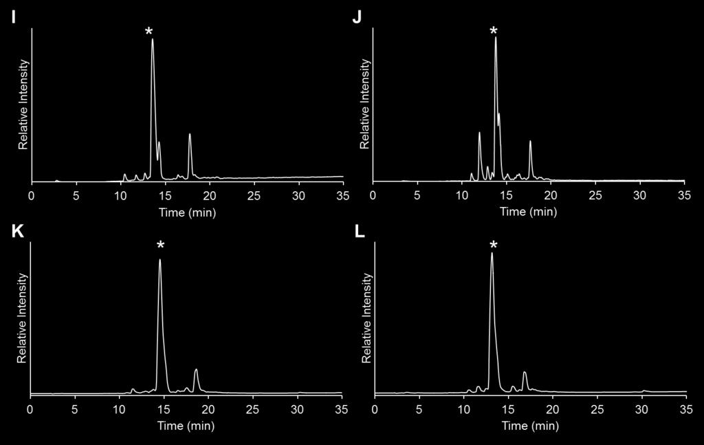 Continued Figure S1. RP-HPLC spectra of crude AWKX-MEGA peptides after TFAcleavage from resin.