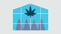 Health Canada Proposed Regulations Cultivation licenses: Standard cultivation