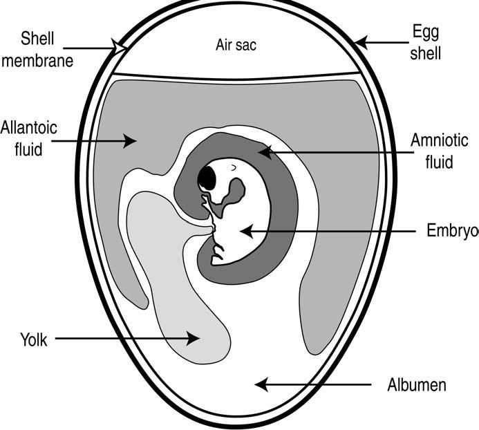 Figure 28: The anatomy of a