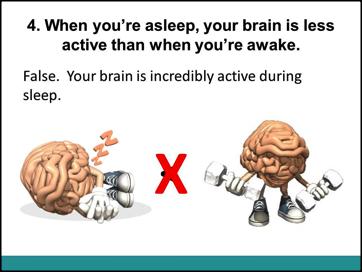 You can t perform properly if you don t get enough sleep. Slide 6 Ask the students is the fourth statement When you sleep your brain is less active than when you re awake. True or False?