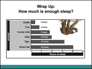 4. Wrap Up How much is enough sleep? Use this slide to get students thinking about how much sleep is needed to function properly.