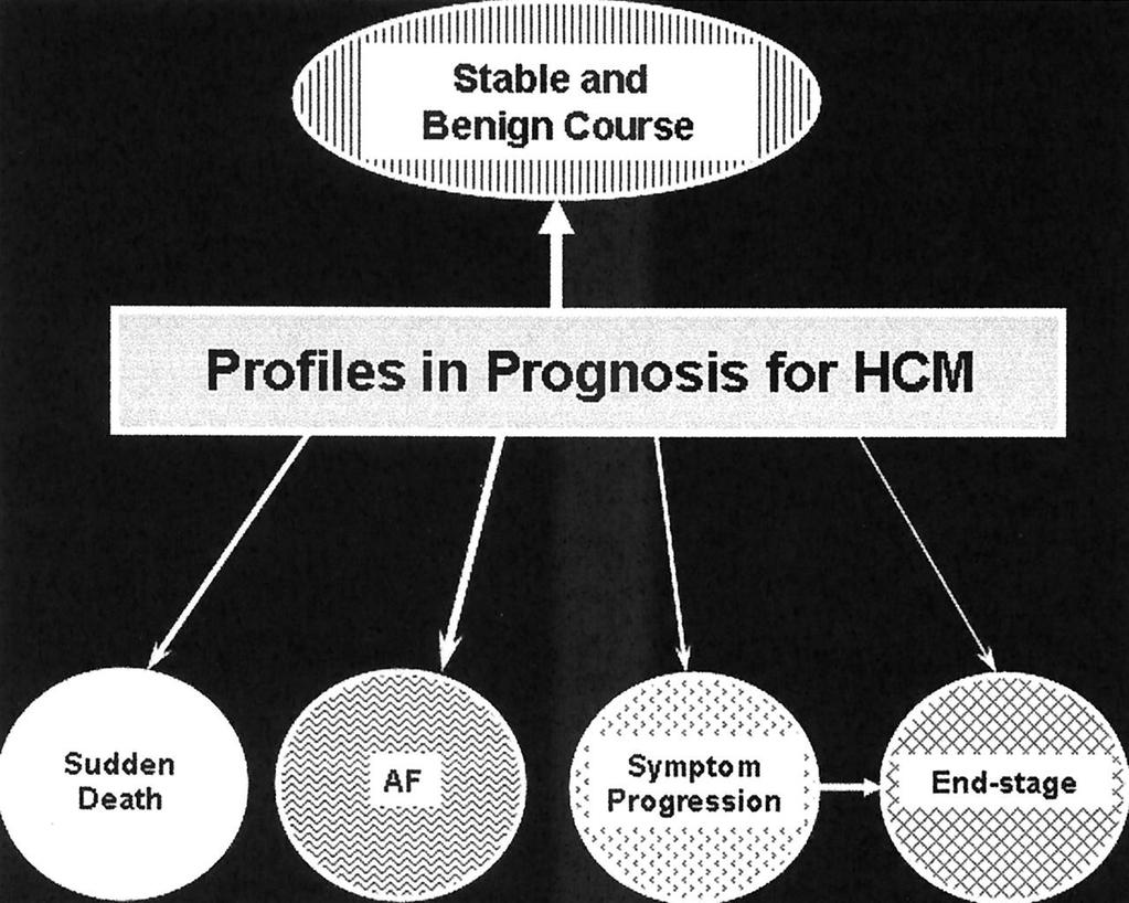 The principal pathways of disease progression in hypertrophic cardiomyopathy (HCM) Maron, B. J. et al.