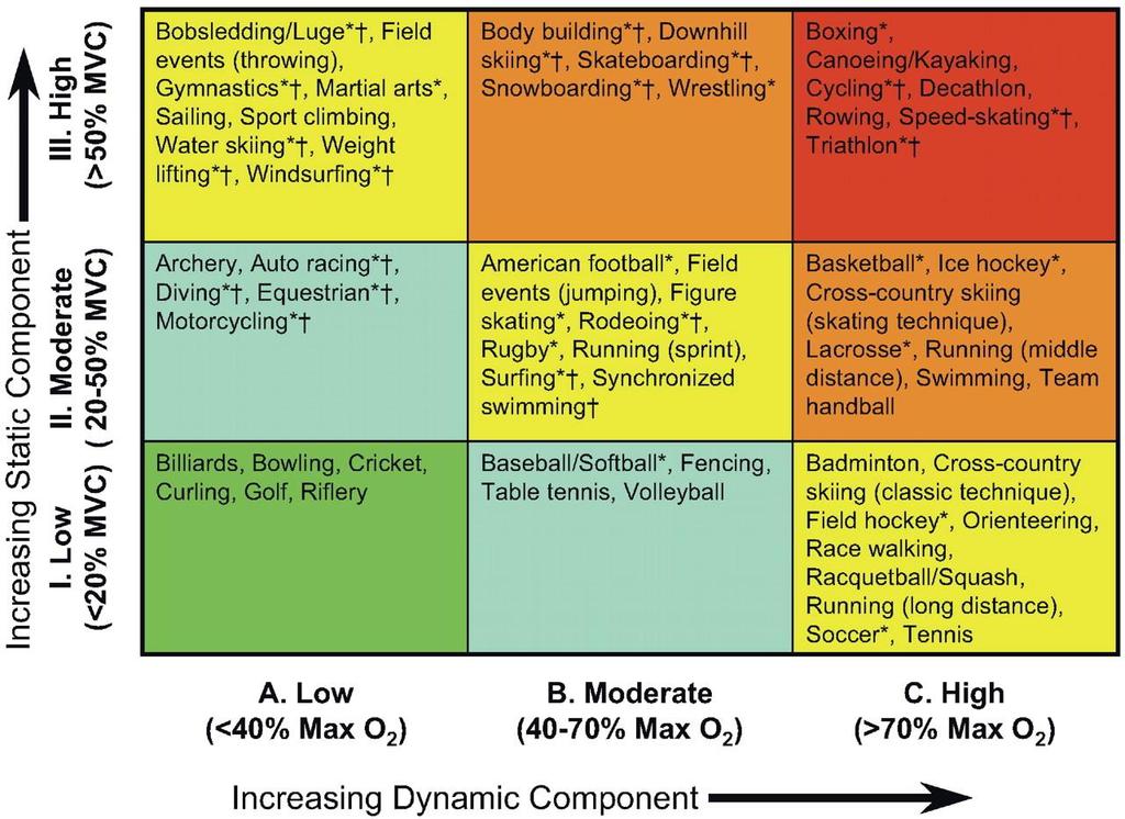 Classification of sports Mitchell, J. H. et al.