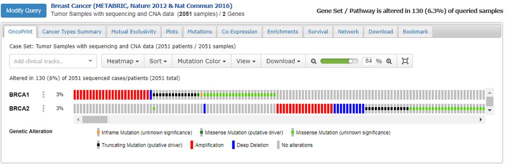 Summary of alterations per sample. Each sample is a column. Each gene is a row. Different kinds of genetic alterations are highlighted with different colors.