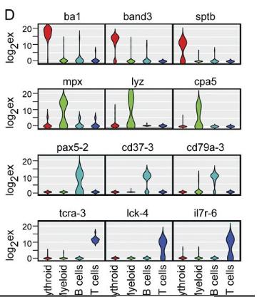 Unsupervised clustering Violin plots show the distribution of gene expression of single cells.