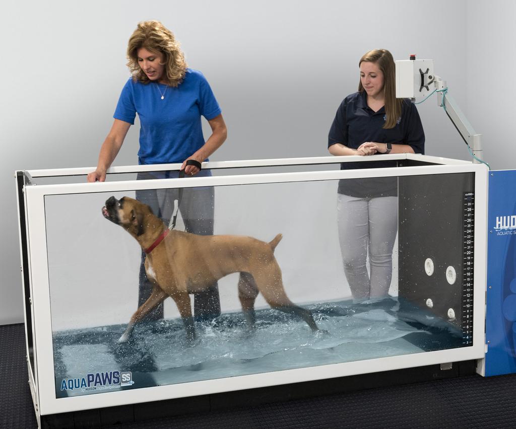 WHY WATER Hydrotherapy in an underwater treadmill uses the natural properties of water, or the principles of relative density, buoyancy, hydrostatic pressure, surface tension, viscosity and