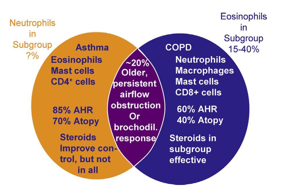 The characteristics of patients with asthma, COPD, and the overlap phenotype