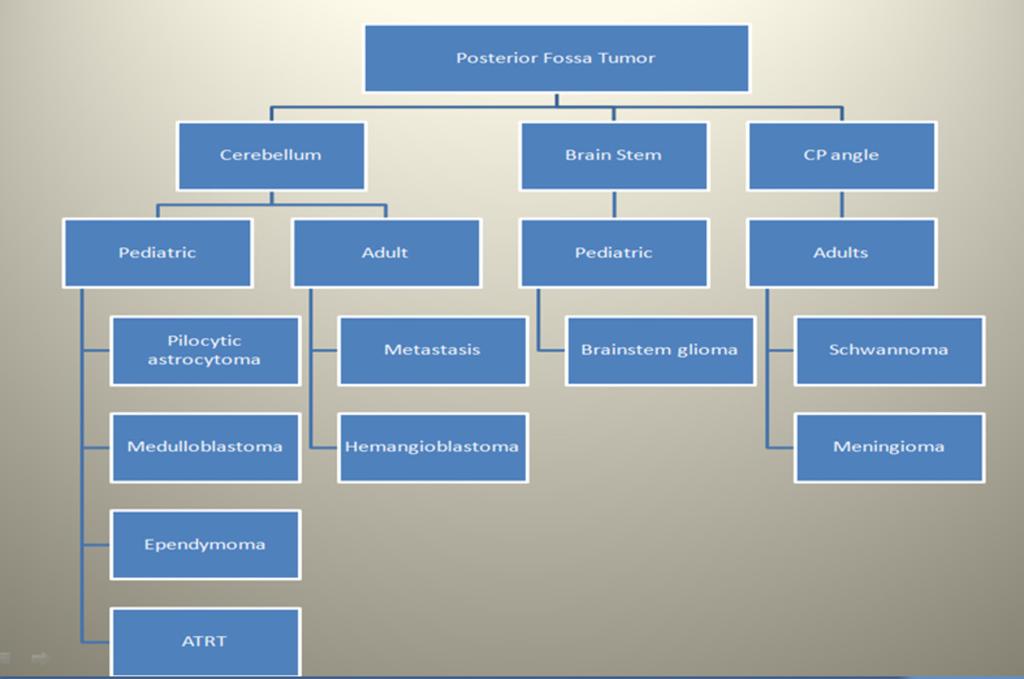Fig. 3: Schematic Presentation of the Common Posterior Fossa Tumors according to Location, n.b.