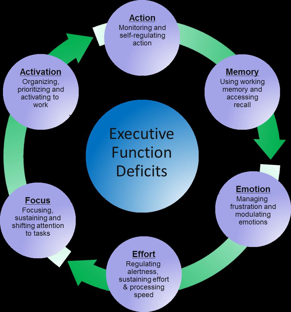 Psychopathology: Executive Function Trouble getting started Difficulty with organizing work Misunderstand directions Lose focus when trying