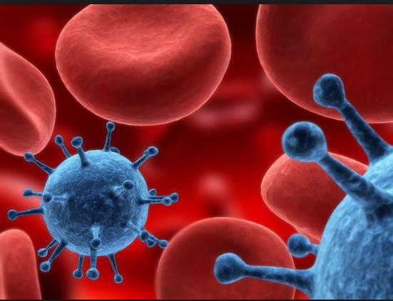 HIV-1-infected Males and Females under Less-Drug Regimens Achieve Antiretroviral Levels