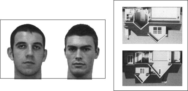 Figure 7. Example of upright and inverted face and upright and inverted house. For the behavioral task, subjects saw individual faces (upright and inverted) and houses (upright and inverted).