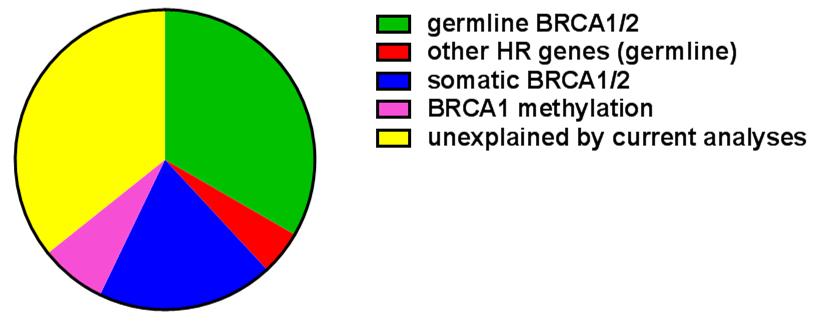Understanding HR Defect Scores HRD Scores and Known Mutations or Aberrations BRCA1/2 germline mutation BRCA1/2 somatic mutation BRCA1 methylation other germline HR gene mutations no known