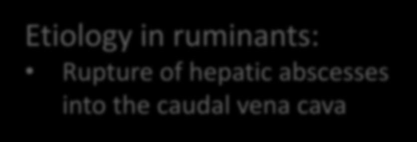 Rupture of hepatic abscesses into