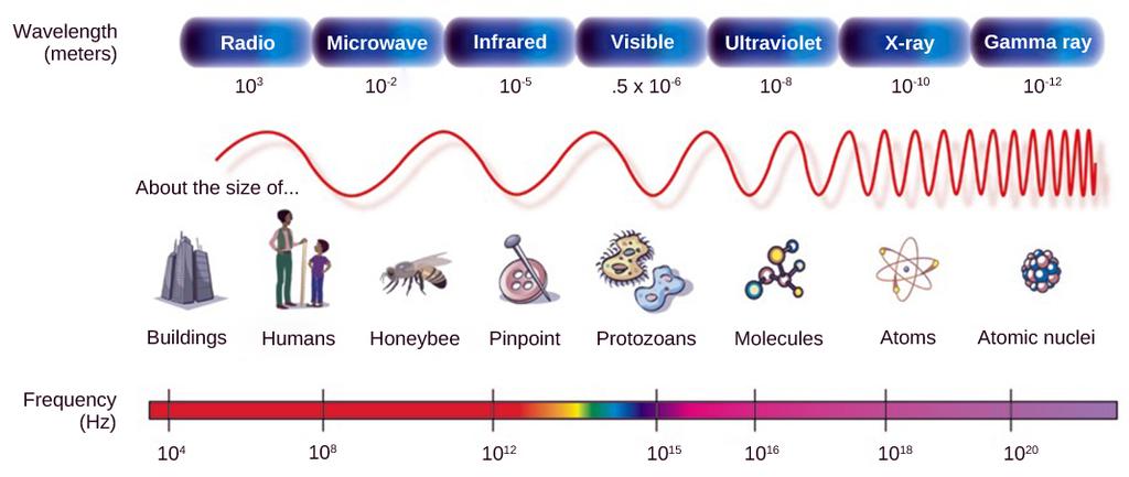 In the electromagnetic spectrum, visible light lies between 380 nm and 740 nm. (credit: modification of work by NASA) Wave amplitude is perceived as luminous intensity, or brightness.