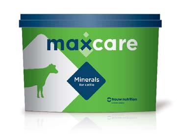 Buckets Maxcare Cattle Bucket A high quality balance of minerals for dairy, suckler and growing cattle.