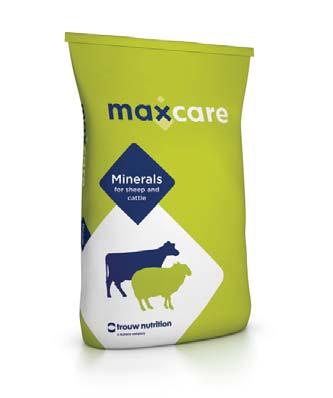 Bagged minerals Maxcare Sheep A high quality sheep mineral formulated to benefit the ewe and her lambs during pregnancy and also pre-tupping.