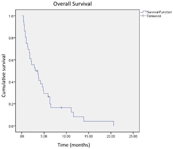 1 months while those treated with 20 Gy survived a median of 4.8 months.