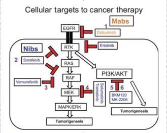 Targeted therapies Curry JL, Torres cabala CA, Kim KB, et al. Int J Dermatol. 2014.