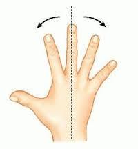 Finger Abduction/adducton Abduction and Adduction are defined using the long axis of
