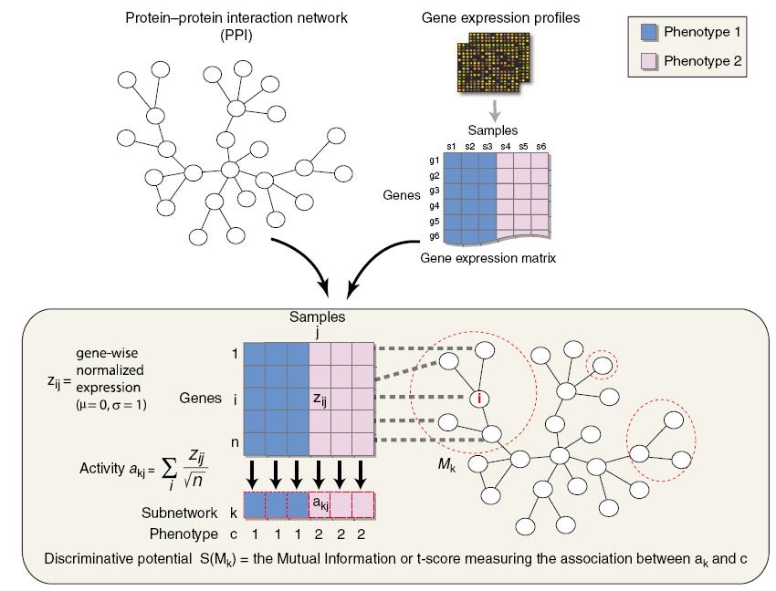Network-Based Algorithms First aggregate gene expression levels for each sample