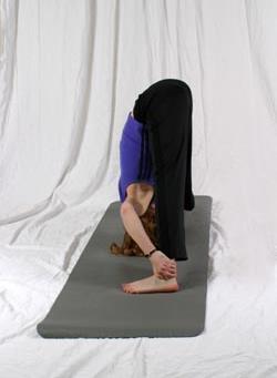 Variation Modification Variation: From the posture, bring hands to ankles and wrap hands around the outside of ankles.