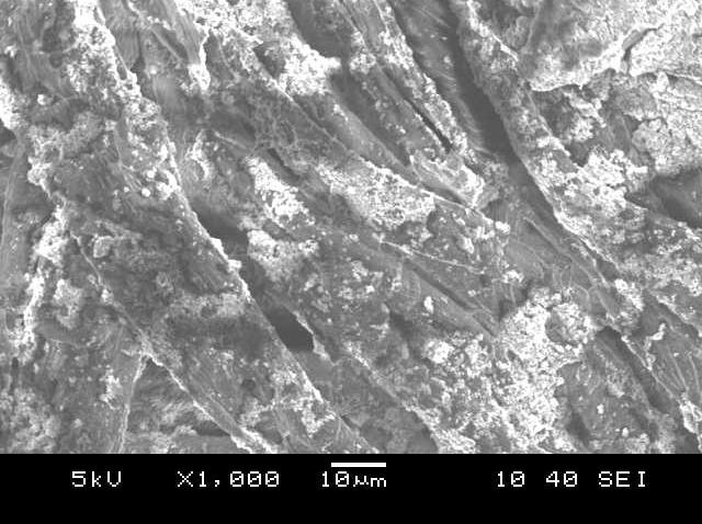 100 Figure 5.12 SEM analysis for ZnO treated cotton fabric for Z 1 nano particle (procedure IV) Figure 5.12 clearly shows that the nano-particles are well dispersed on the fibre surface.