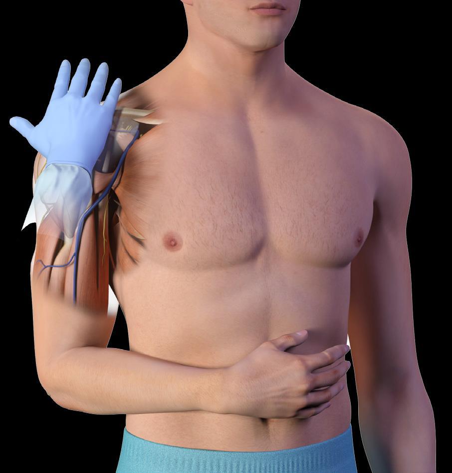 Place your palm on the patient s shoulder anteriorly.